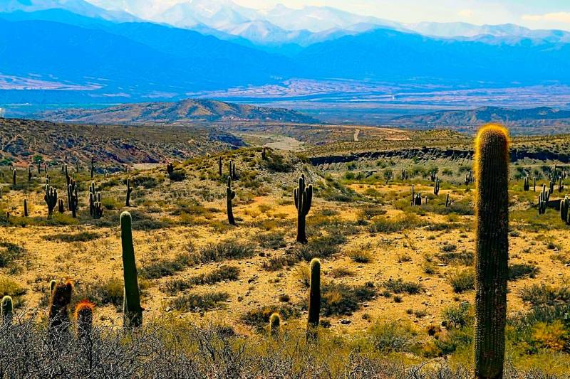 Voyage en amérique du sud en Argentine